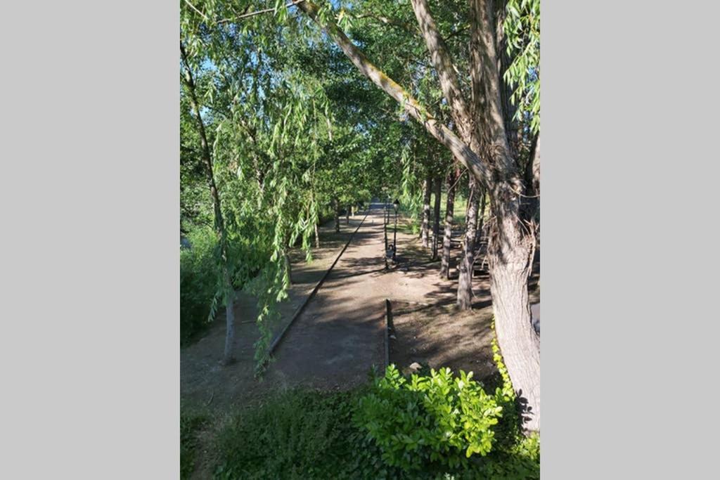 Durmiendo Como Reyes En La Rioja Cihuri Kültér fotó