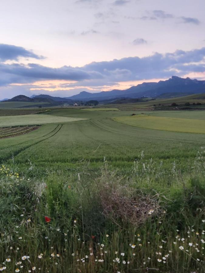 Durmiendo Como Reyes En La Rioja Cihuri Kültér fotó